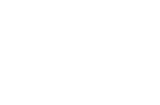 (y)
